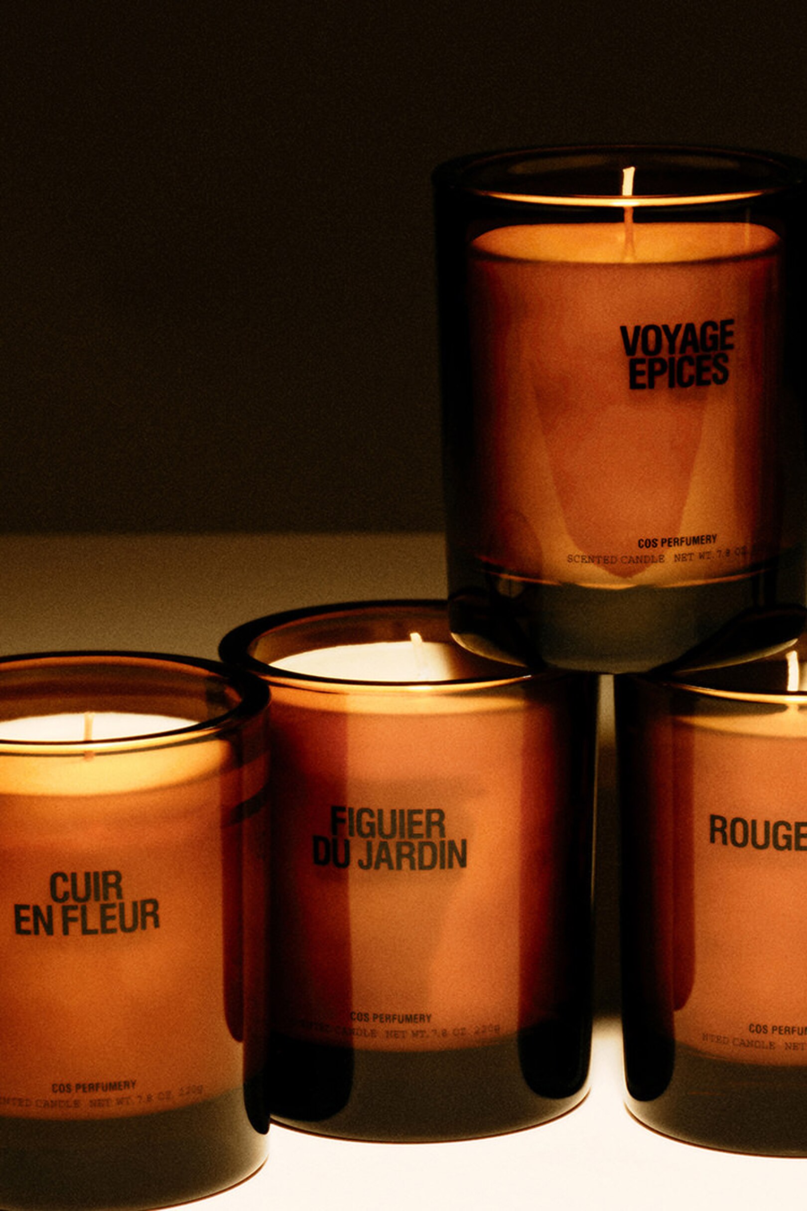 gender-equality-lp-candle-section